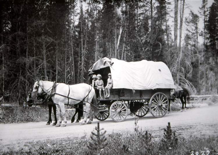 Horse and covered wagon